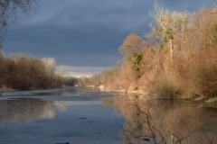 4014 Donau-Altarm im Winter