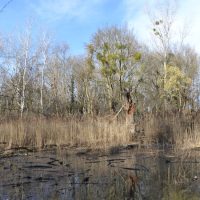 Outdoor-Fotokurse in Wien | Naturfotografie im Wiener Prater | 1020 Wien
