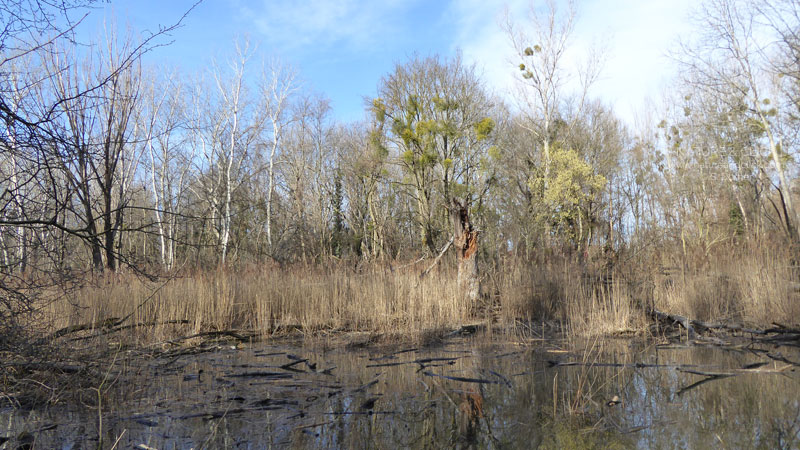 Outdoor-Fotokurse in Wien | Naturfotografie im Wiener Prater | 1020 Wien