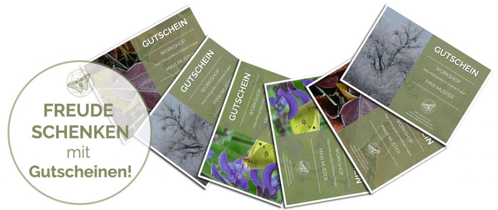 Freude schenken mit Gutscheinen von Nature & Click für Naturführungen und Fotoworkshops im Wiener Prater und im Nationalpark Donau-Auen.