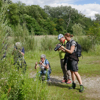 Beim Fotoshooting von Schmetterlingen war etwas Geduld gefragt.