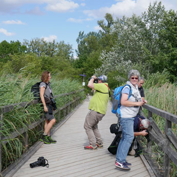 Sehr viel Freude und Begeisterung hatten die Teilnehmer bei der Fototour durch die Lobau.