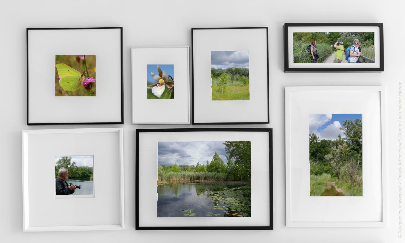 Bleibende Erinnerungen an den Fotokurs in der Lobau