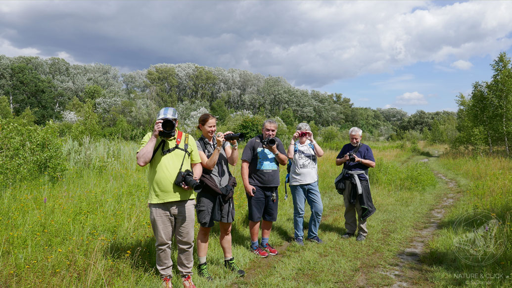 Fotoworkshop in der Wiener Lobau