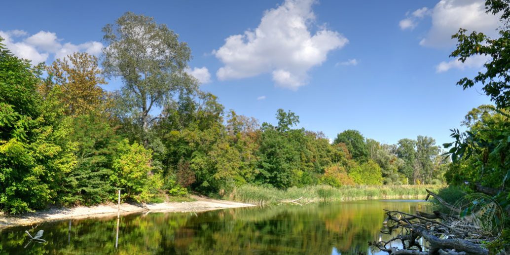 Herbst_Wanderung_Prater_Wien©natureandclick