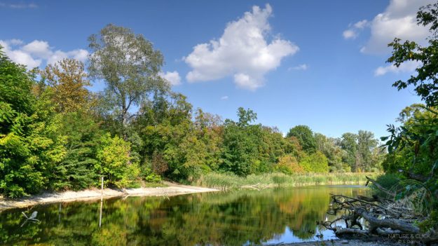 Herbst_Wanderung_Prater_Wien©natureandclick