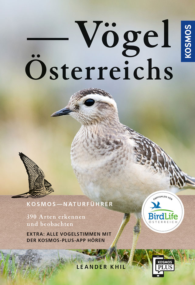Vögel Österreichs © Kosmos Verlag