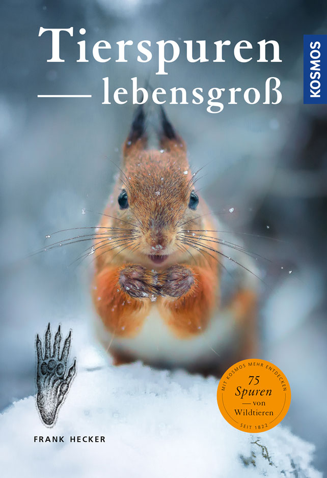 Tierspuren lebensgroß © Kosmos Verlag