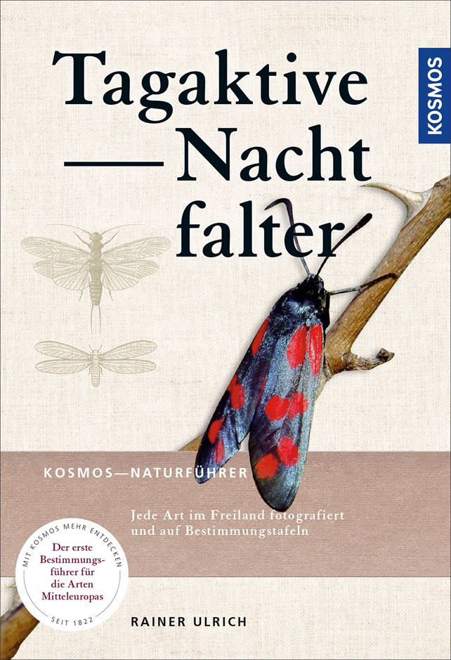 Tagaktive Nachtfalter © Kosmos Verlag