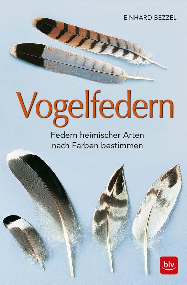 Vogelfedern - Federn heimischer Arten nach Farben bestimmen © BLV-Verlag
