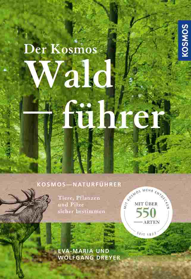 Der Kosmos Waldführer © Kosmos Verlag