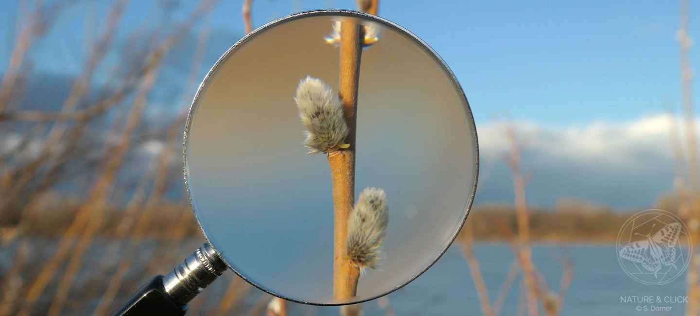 Raetselrallye-Schulfuehrung-Wien-Kinder-Natur-Prater-©-S-Dorner-natureandclick Naturführungen in Wien, Rätselrallye für Kinder, Schulführungen im Wiener Prater © S. Dorner, www.natureandclick.com