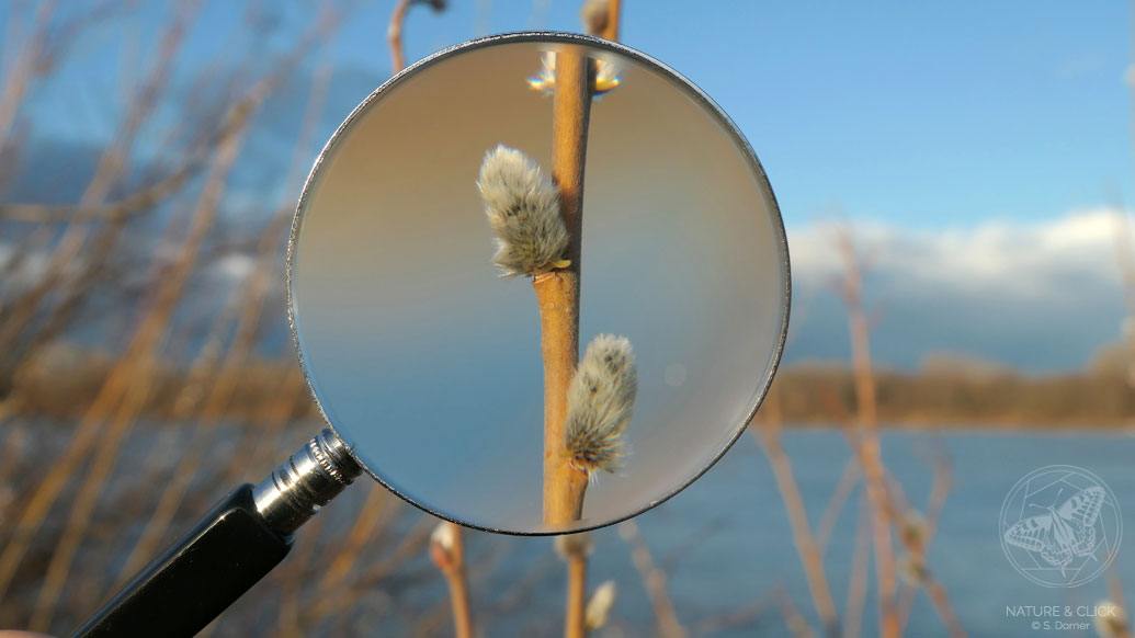 Naturführungen in Wien, Rätselrallye für Kinder, Schulführungen im Wiener Prater © S. Dorner, www.natureandclick.com