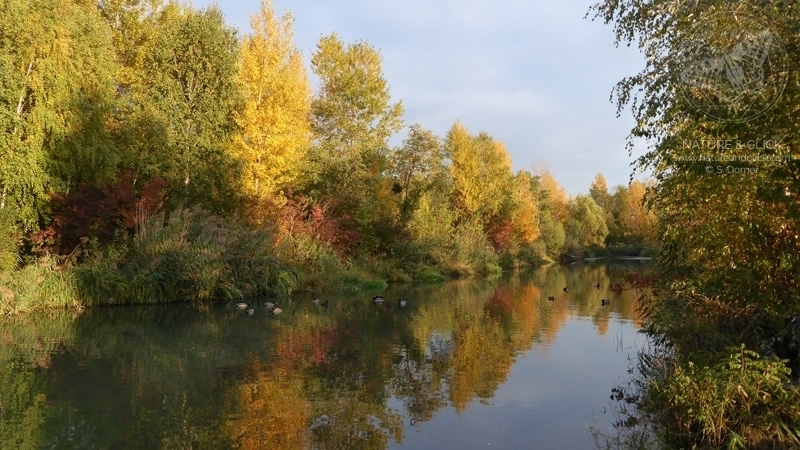 Herbstliche Landschaften